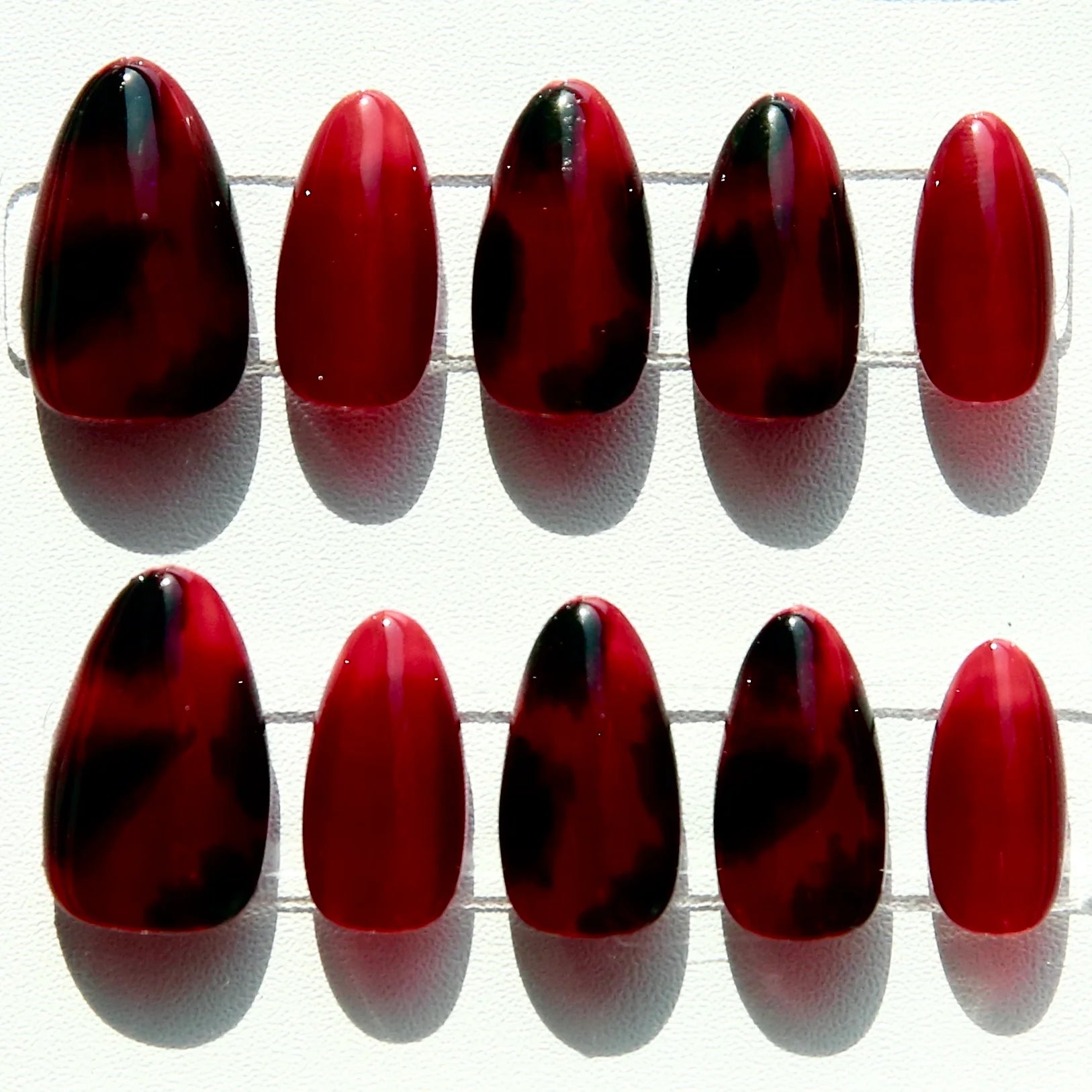 Ruby Tortoiseshell